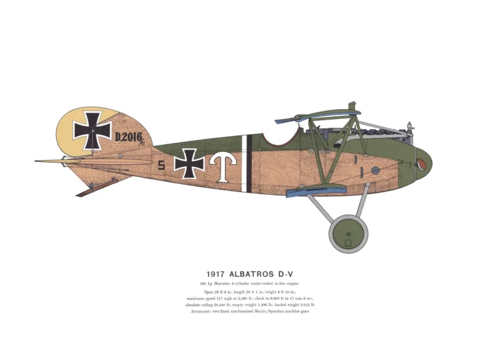 AD08-Albatros-DV
